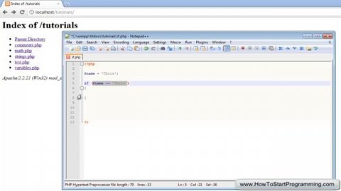 PHP Tutorial 9 - If Statements (PHP For Beginners)