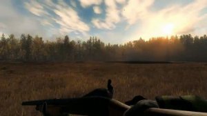 как и с чем охотится на казарку the hunter classic