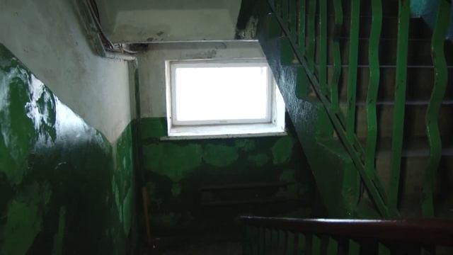 Тараканы, клопы и муравьи нападают на уфимцев смотреть онлайн