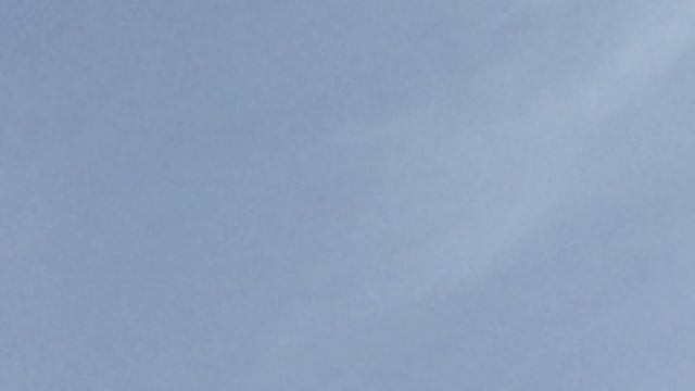 #Pigeons.Как глистогонить голубей.