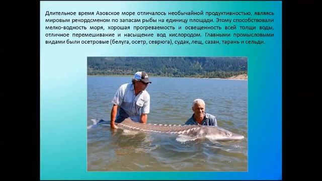 Южные моря России Азовское море. География 9 класс.