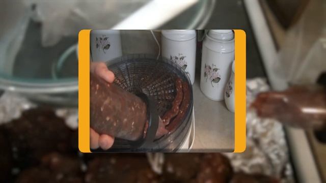 Best Jerky Gun in 2020  Buying Guide and Reviews