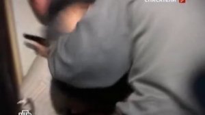 Жесткое задержание мошенников