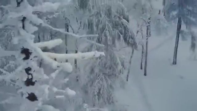 Снегоход Yamaha VK Professional II смотреть онлайн