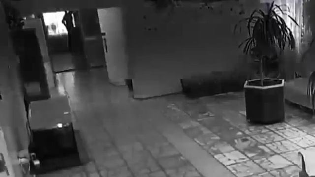 Пришельцы  3  Путешественник во времени