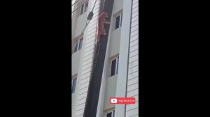 Приколы видео без рекламы! 