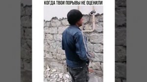 Не оценили