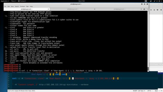 92. Executing Code Remotely with Shellshock Kali linux