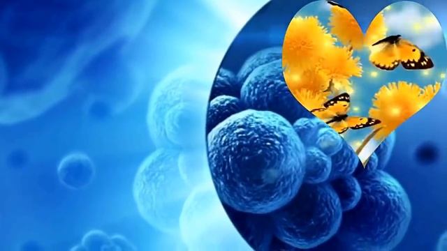 Я победил рак без химиотерапии смотреть онлайн