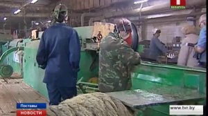 Модернизация обернулась убытками на Поставском льнозаводе