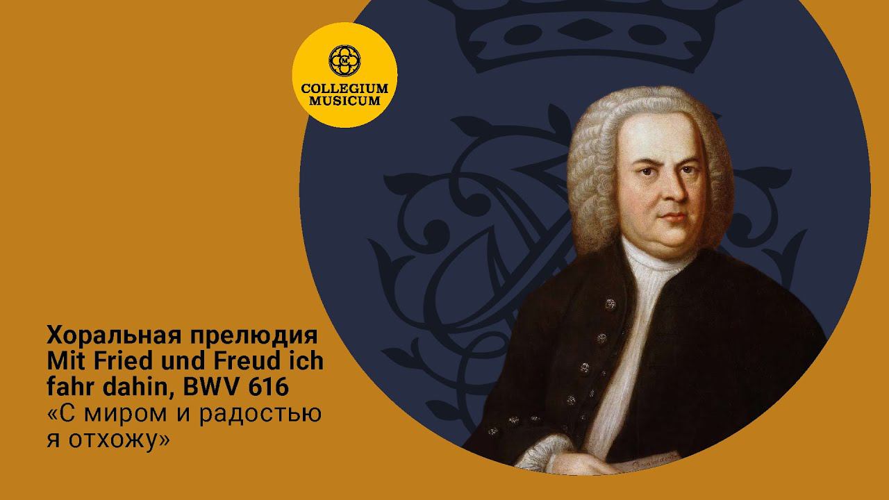 И.С.Бах Хоральная прелюдия Mit Fried und Freud ich fahr dahin, BWV 616 "С миром и радостью я отхожу" смотреть онлайн