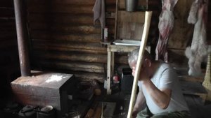 Добыча рыси!!!