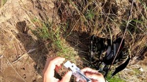 Воблер VS Блесна. Река АМУР. Рыбалка на спиннинг с берега 2020