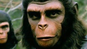 ЦЫГАНЕ РАЗБОРКИ В ТАКСИ / Вонючие нищеброды и попрошайки.