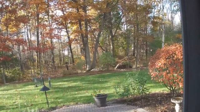 1080 Video from SONY HX5V Camera смотреть онлайн