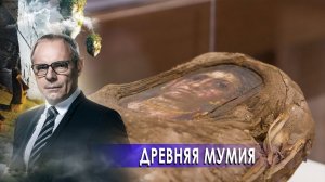 Древняя мумия. Странное дело. Документальный фильм. (09.12.2020).