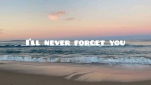 Zara Larsson, Mnek - Never forget you