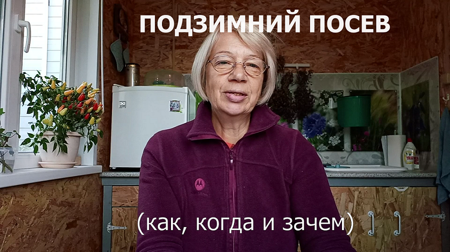 Подзимний посев - как и зачем