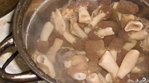 Cуп со сморчками и картофелем
