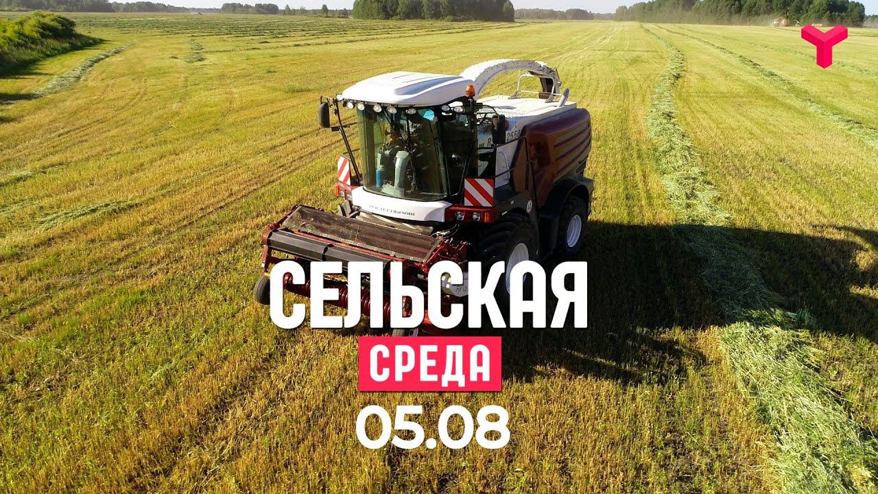 Сельская среда. Моя Сельская среда. Сельская среда Омутинка 31 марта. Сельское среда агроциносс и экоциносс,.