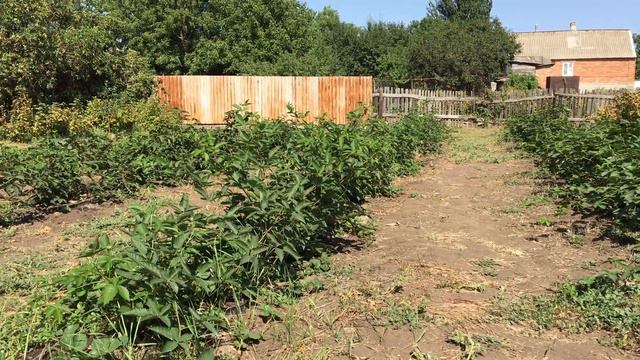 Не пропустите! Сделай это смотреть онлайн