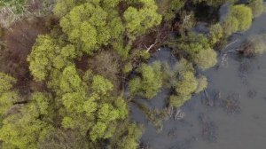 Затопленная деревня Горошково. Можайское водохранилище. Классное место для рыбалки.