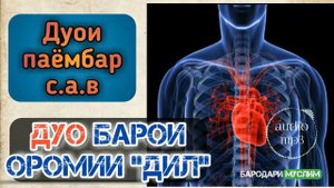 Дуо барои ороми дил