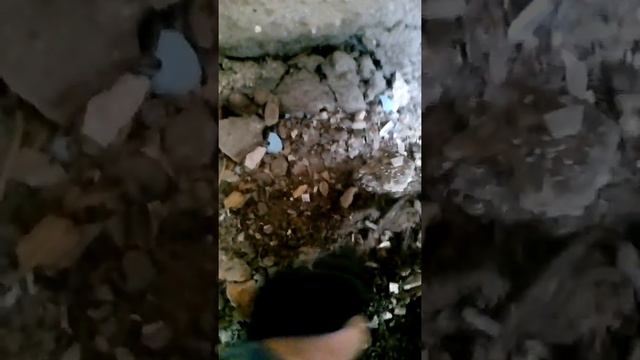 Где можно по искать монеты зимой без металоискателя смотреть онлайн