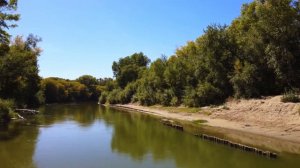 Рубцовск с коптера dji mini 2 забока река Алей