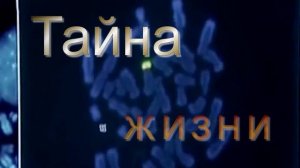 Тайна жизни.mp4