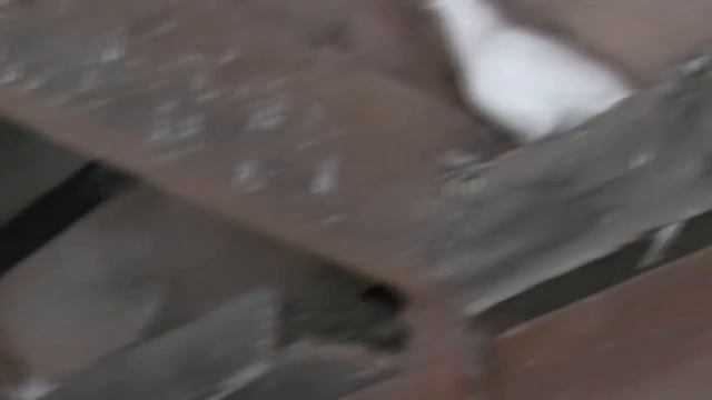 Утро, рыбалка, голуби.  18. 08. 2018 смотреть онлайн