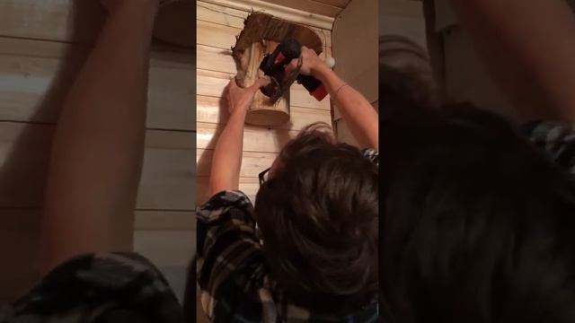 Дупло для совы смотреть онлайн