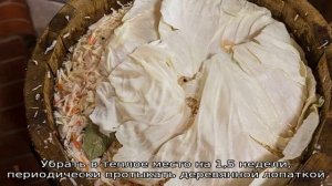 Самые вкусные рецепты квашеной капусты в кадке — пальчики оближешь!