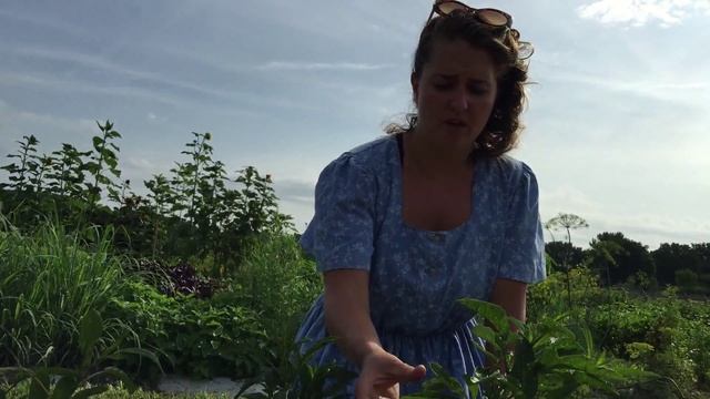 Hobby Farm Garden : Growing Pepino Melons смотреть онлайн