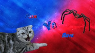 Йети vs паук