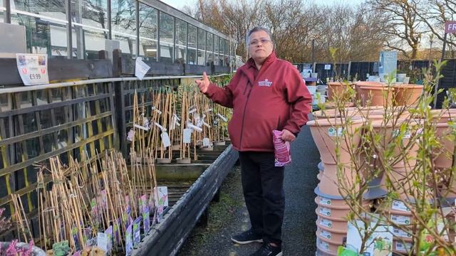 Top Tips - Clematis смотреть онлайн