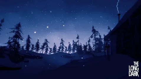 The Long Dark: #8