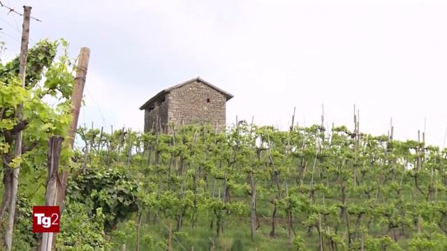 Muro di Ca' del Poggio - Sì Viaggiare Tg2 смотреть онлайн