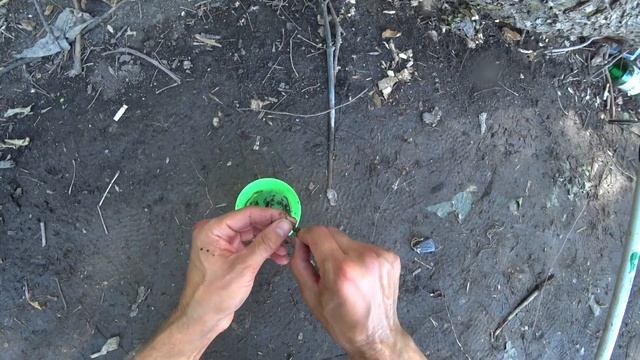 Рыбалка на ЛЕСНЫХ червей. Fishing Астрахань. 4К