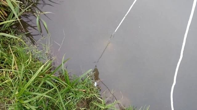 поисковый магнит своими руками ( проверка в воде )