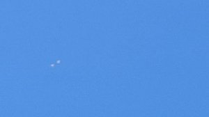 Голуби Игоря Тихонова.