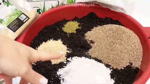 СОСТАВЛЯЮ ГРУНТ ДЛЯ СВОИХ РАСТЮШЕК! #грунт #состав грунта