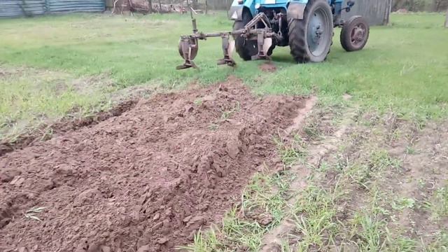 мтз-82 запахивает сидерат жито (рожь) смотреть онлайн