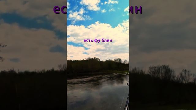 Голавль #клев #рыбалка #поклевка #fishing смотреть онлайн