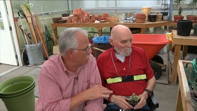 Greenhouse growing plants and self confidence for individuals смотреть онлайн