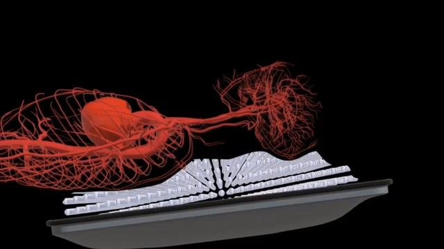 Почему изделия Альсария помогают в постковидной реабилитации