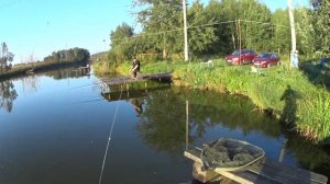 Рыбалка в Ба!Рыбина! Ясная погода. Утро. Карп.