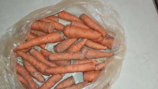 результат хранения морковки в пакетах в подвале смотреть онлайн