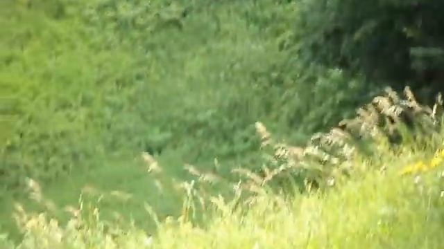 Деревня Хабарское, Нижегородская область, вид на реку смотреть онлайн