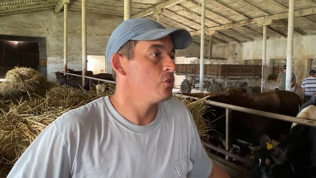 | В гостях у нашего поставщика. Где выращивают баранину и говядину.
